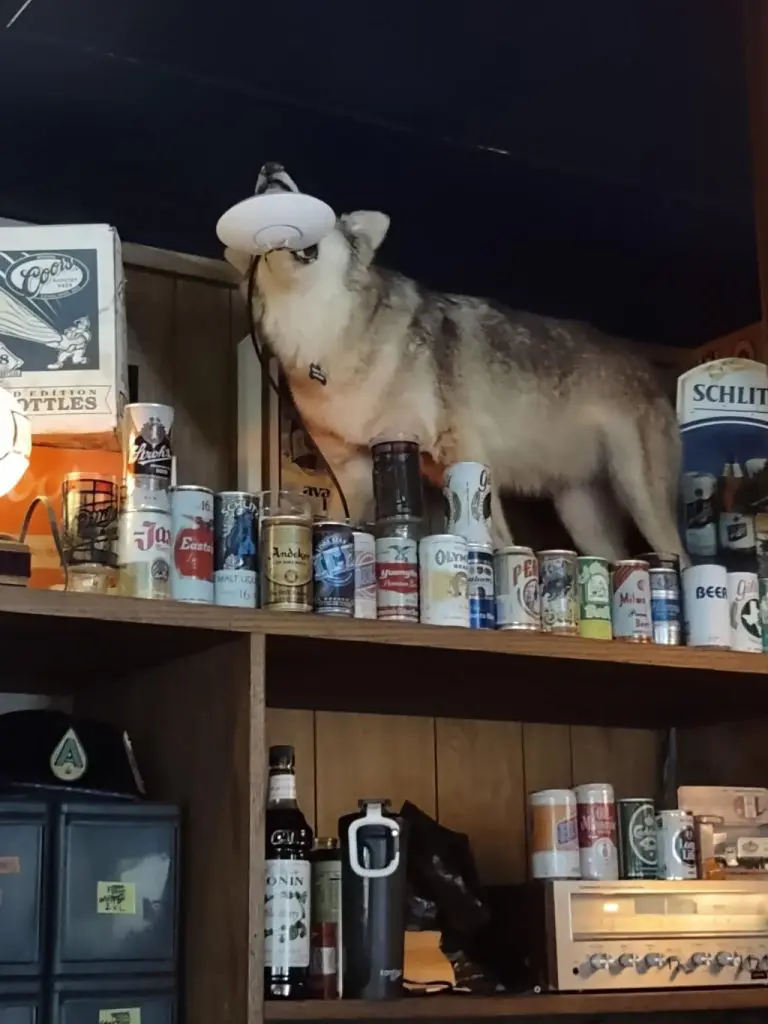 That's one way to mount a UniFi AP...