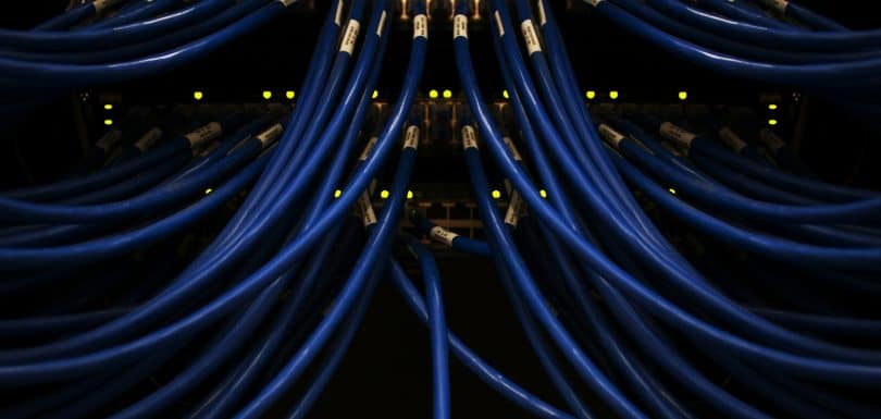 Blue Ethernet cables plugged into networking equipment